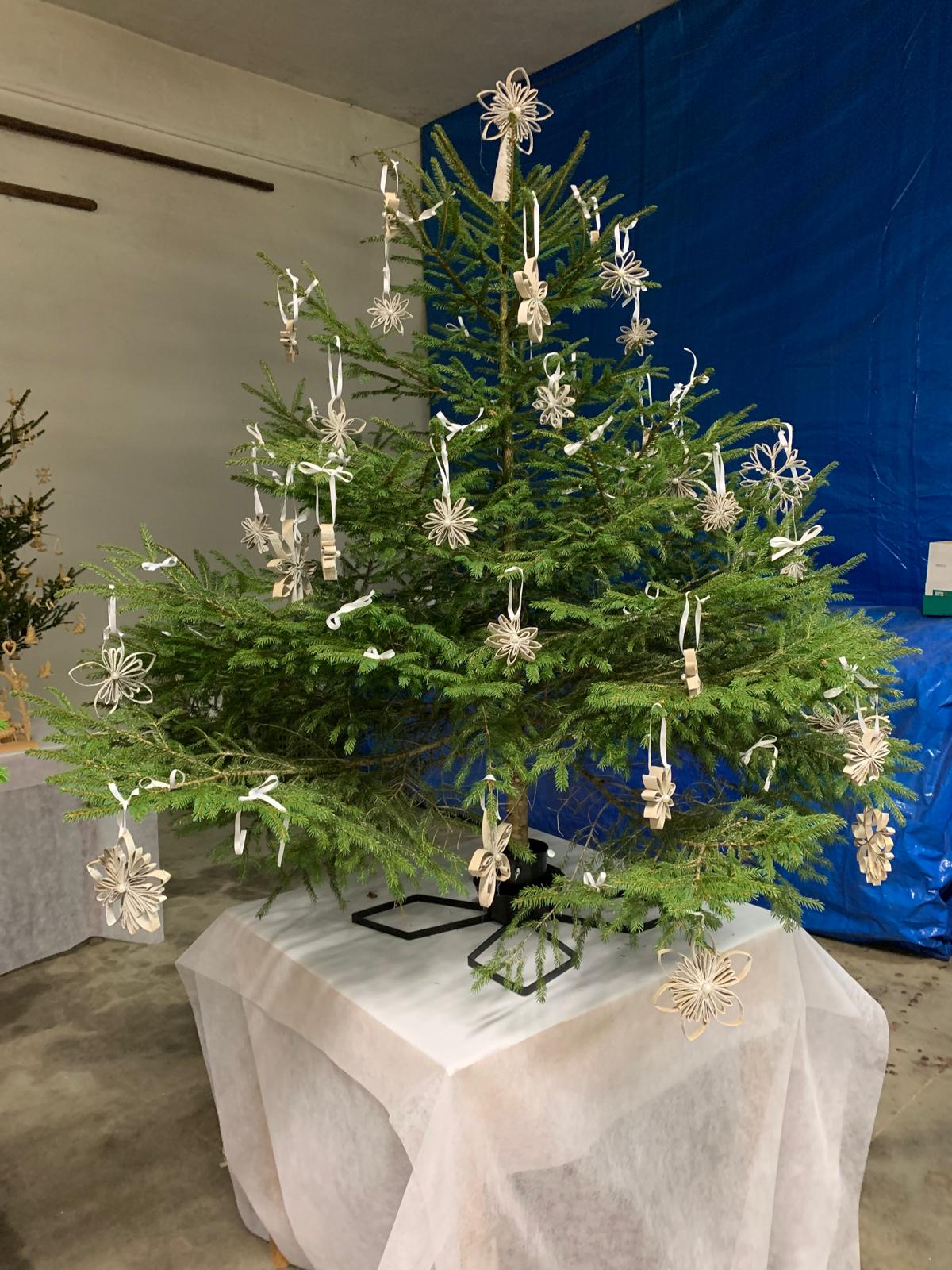 Stromeček naší školy